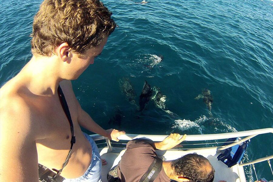 Pula: National Park Brijuni Dolphin Cruise with Dinner - The Sunset Return to Pula