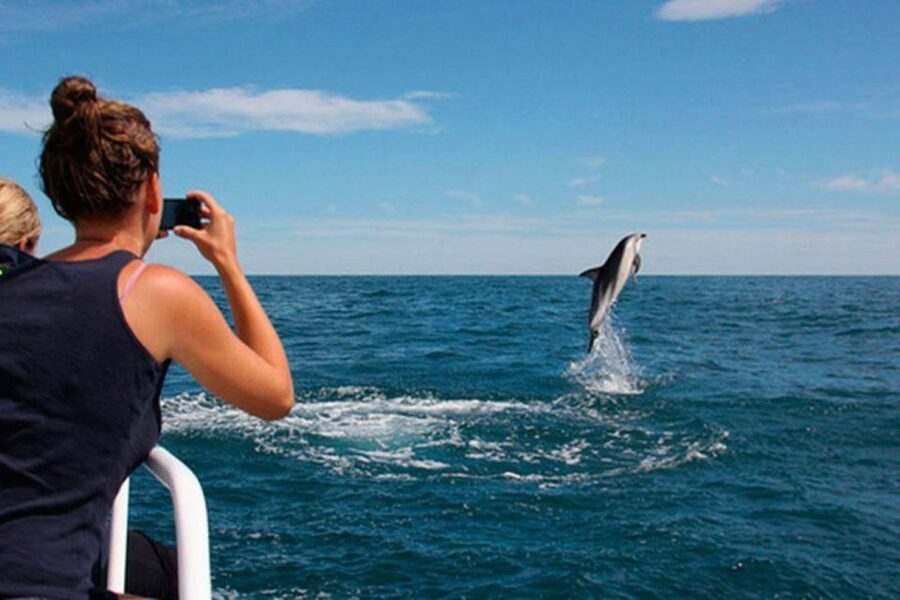 Pula: National Park Brijuni Island Visit & Dolphin Cruise - Seeing Brijuni National Park from the water