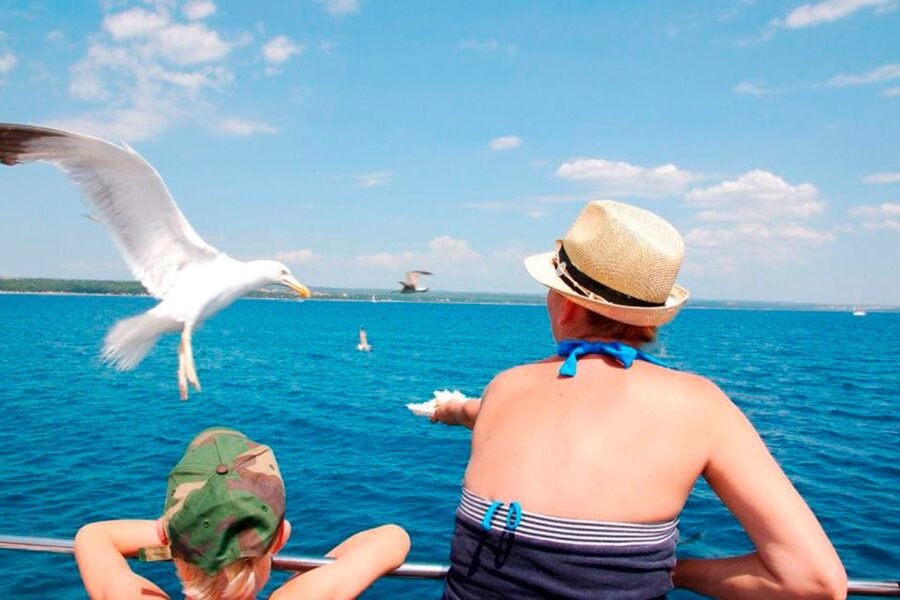 Pula: National Park Brijuni Island Visit & Dolphin Cruise - The boat, timing, and comfort