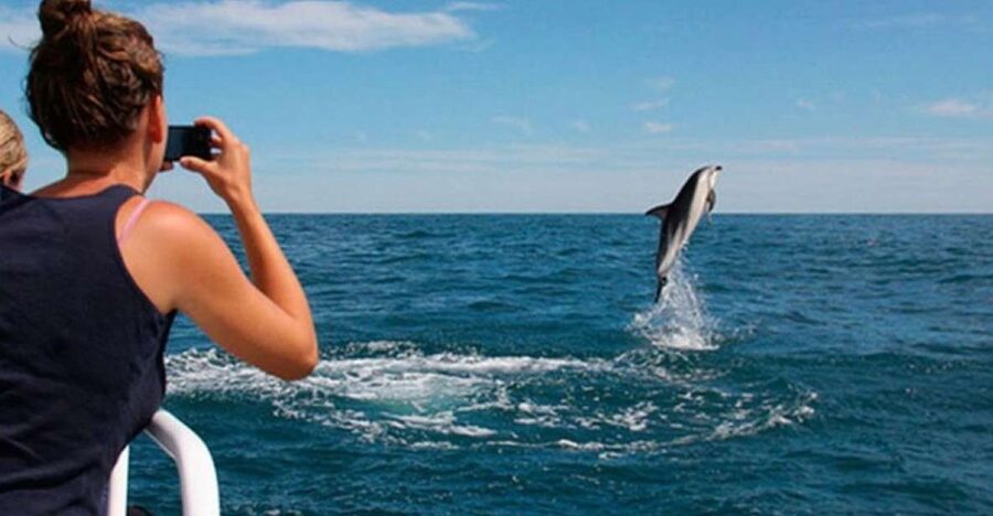 Pula: National Park Brijuni Island Visit & Dolphin Cruise - St Jerolim Island: the active part of the day