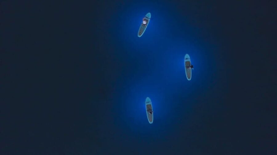 Pula: Night LED Stand-Up Paddle Board Tour - Histria Beach and the first minutes on the water