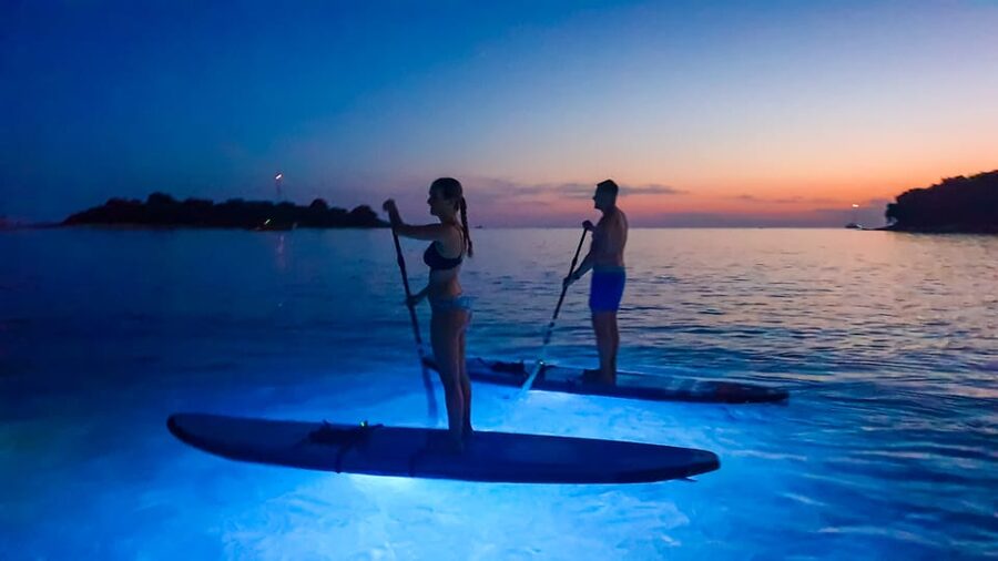 Pula: Night LED Stand-Up Paddle Board Tour - Who will enjoy this most