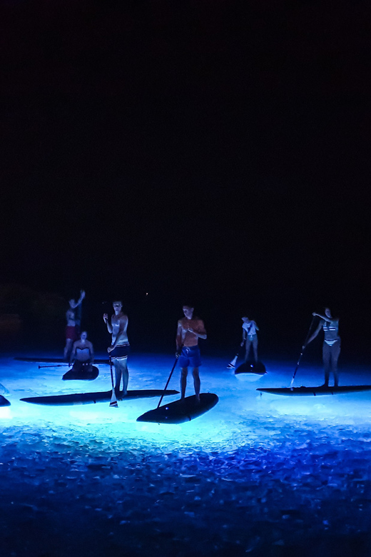 Pula: Night LED Stand-Up Paddle Board Tour - Starting at Verudela Beach Resort