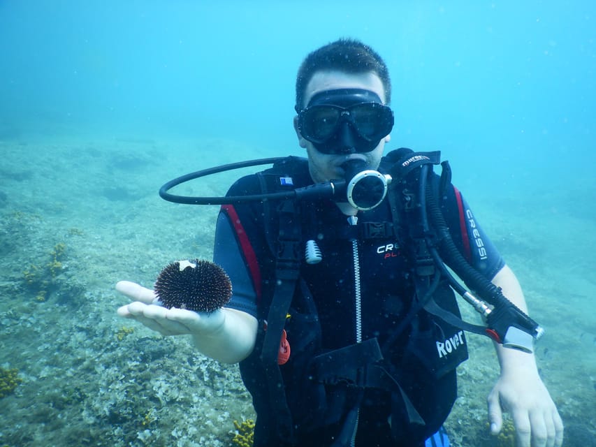 Pula: Private Introduction to Scuba Diving - The value of $141 per person