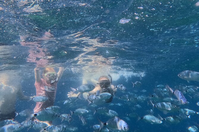 Pula Private Sailing Tour: 4-Hour Customizable Sail, Snorkel, SUP - What the four hours feel like