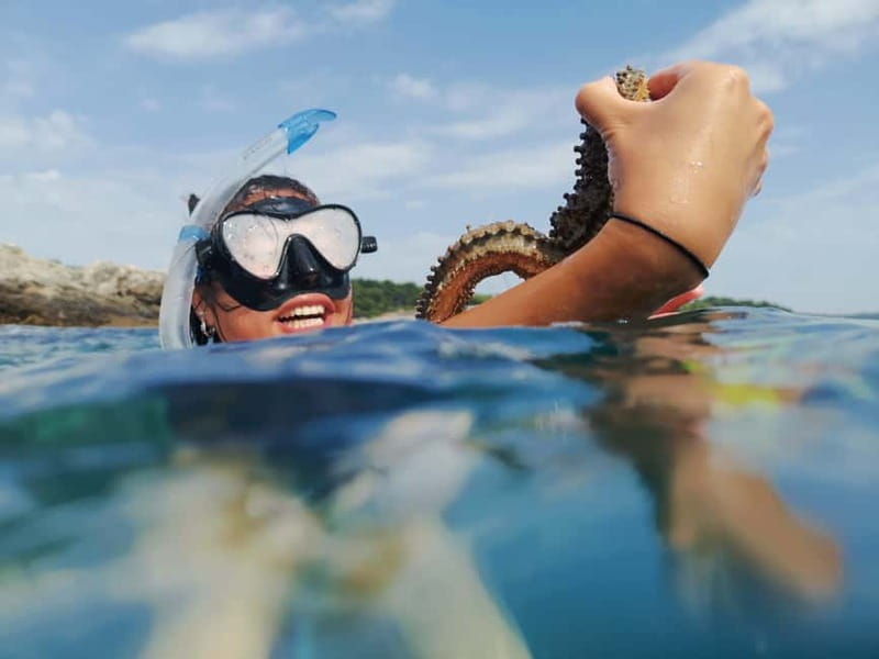 Pula: Sea Adventure – Boat, Kayak, Snorkeling & Cliff Jumps - Why the offshore launch makes this Pula tour different