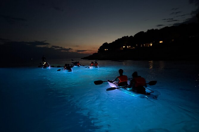 Pula: Sunset/Night-time Illuminated Transparent Kayak Tour - Seeing Fish Through the Clear Hull