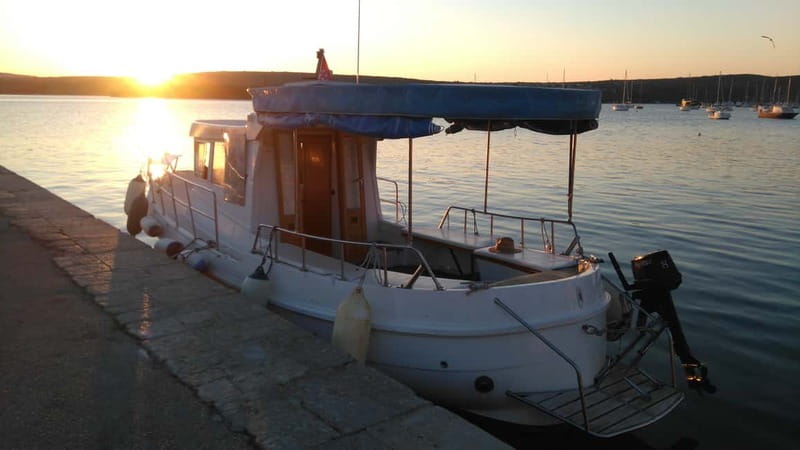 Punat: Stara Baška Wild Bays Private 3,5 h trip - The chance of seeing dolphins