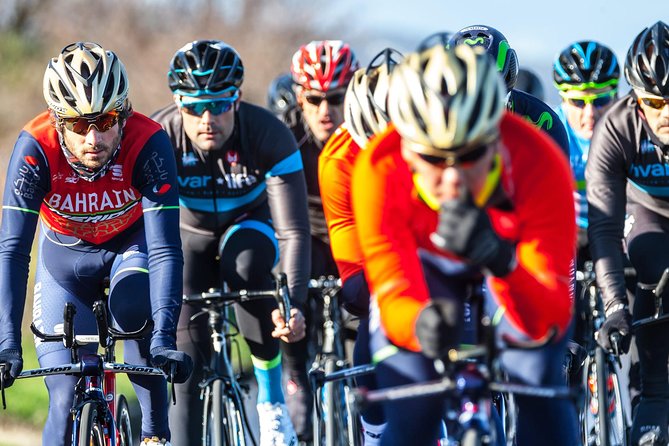 Pure Cycling Experience - Road Bike - Starting at Hvar Life in Stari Grad