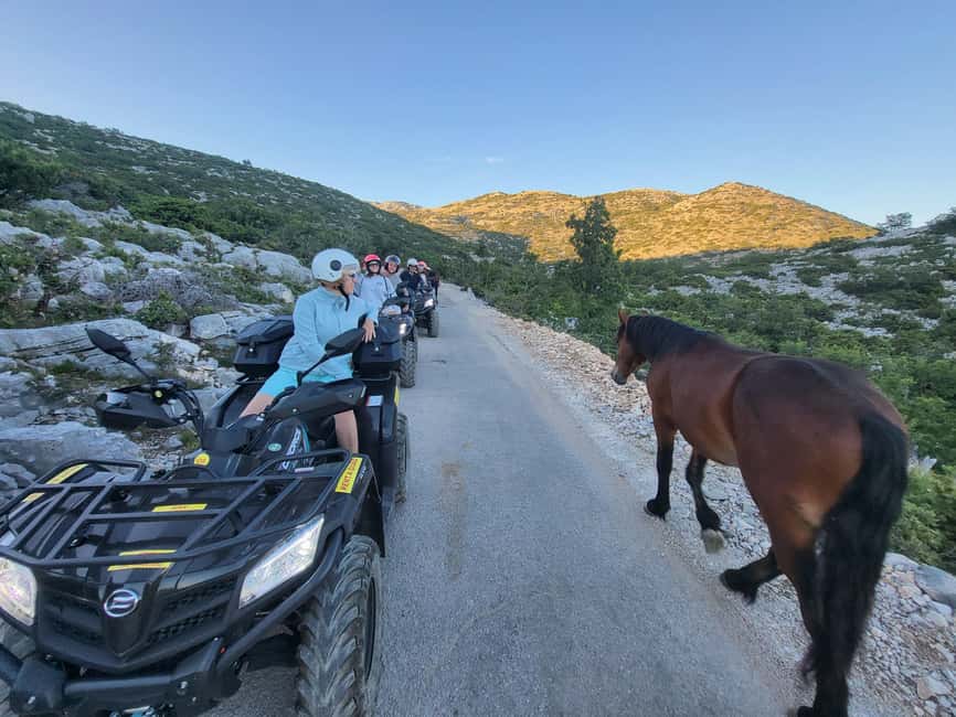 Quad tour to Biokovo Skywalk - Biokovo’s plants, wildlife, and mountain air