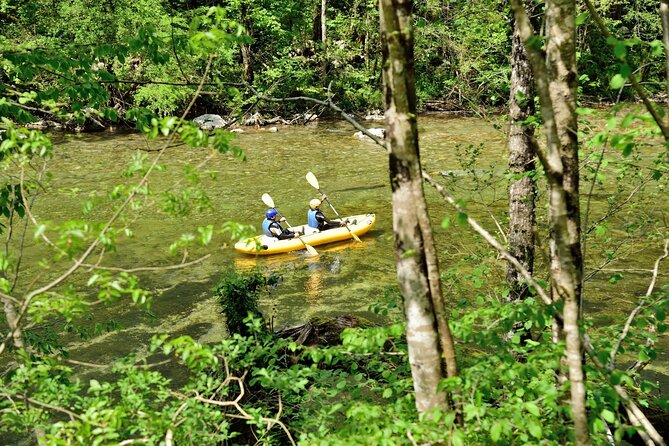 Rafting and Kayaking Adventure in River Kupa - Forested Mountains and Clear River Water