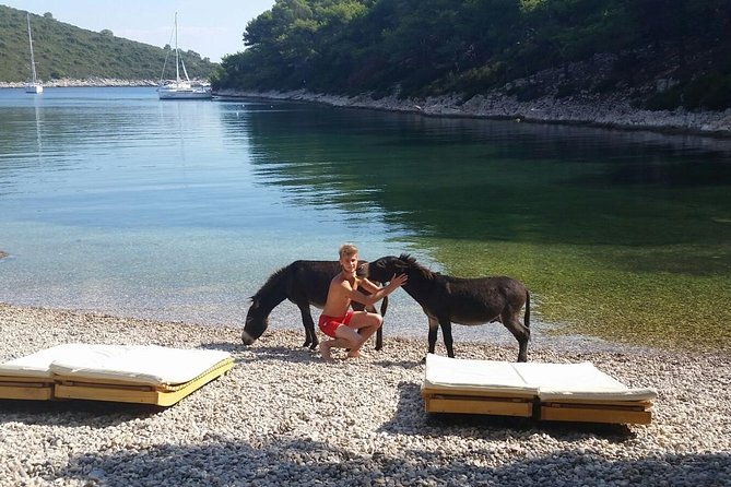 Red Rocks & Southern Side Of Hvar Private Tour - A full day on Hvar’s southern coast