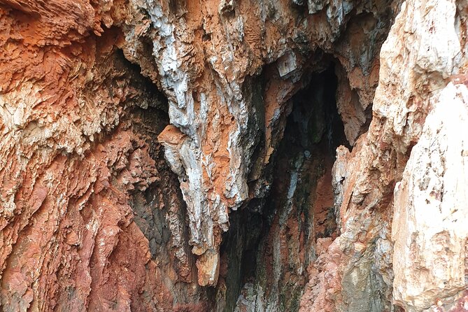 Red Rocks & Southern Side Of Hvar Private Tour - What the skipper can customize