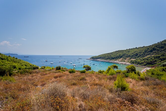 Rent a Boat! (Group Option - Half Day) - Who will enjoy this most
