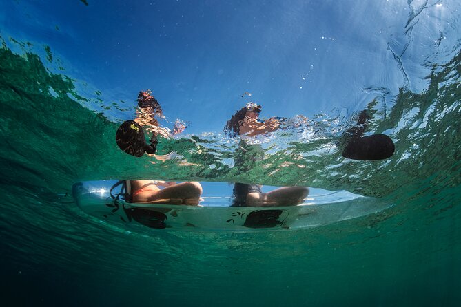 Rent a Transparent Kayak - Discover the Underwater Magic - Seeing Pula from a transparent kayak