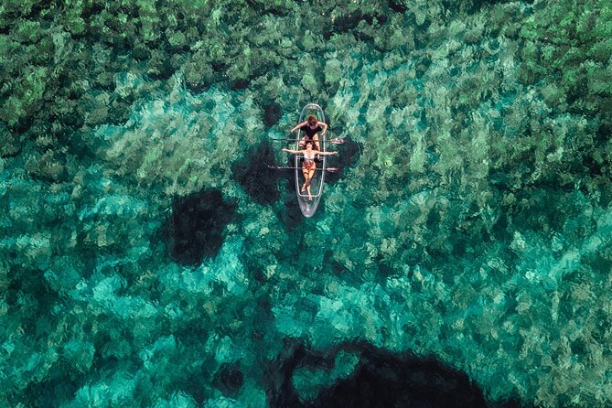 Rent a Transparent Kayak - Discover the Underwater Magic - Why the private format matters