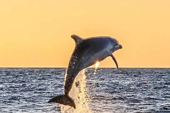Romantic Boat Trip with Dolphin Watching - Wine, Water, and Soft Drinks on Board