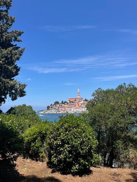 Rovinj: BUBA SUNSET KAYAK, snorkeling&driknks incuded - What to bring and how to prepare
