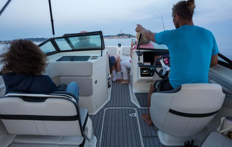 Rovinj: Dolphin Watching Sunset Speedboat Tour with Drinks - Key points at a glance