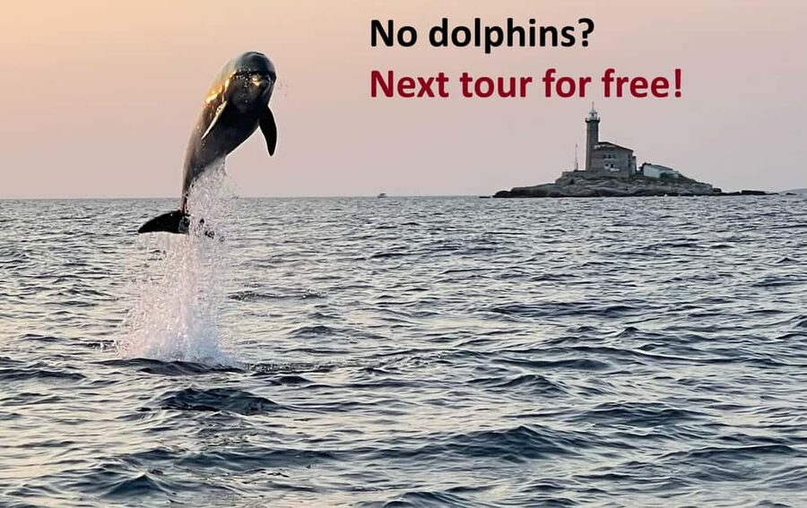 Rovinj: Dolphin Watching Sunset Speedboat Tour with Drinks - Why this short Rovinj cruise works so well
