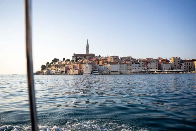 Rovinj: Dolphin Watching Sunset Speedboat Tour with Drinks - The skipper and the tone of the trip