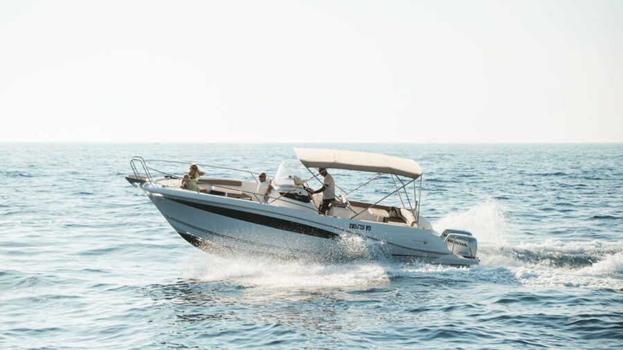 Rovinj: Family Friendly Dolphin Watching Tour - Key points to know before you book