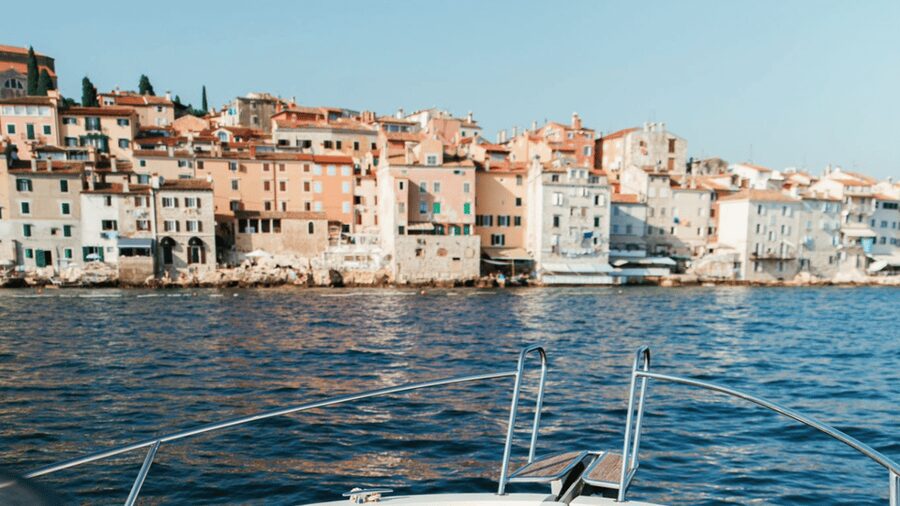 Rovinj: Family Friendly Dolphin Watching Tour - Is $57 a fair price?