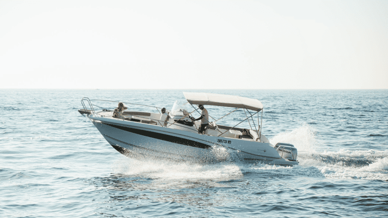Rovinj: Family Friendly Dolphin Watching Tour - Should you book the Rovinj dolphin tour?