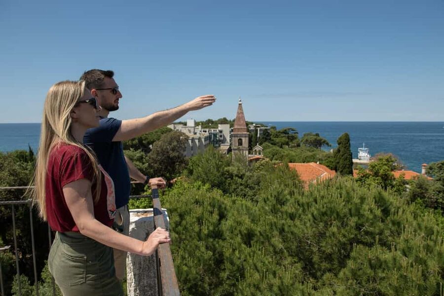 Rovinj: Luxury Island Hopping with Swimming & Snorkeling - Figarola offers shade, drinks, and a slower pause