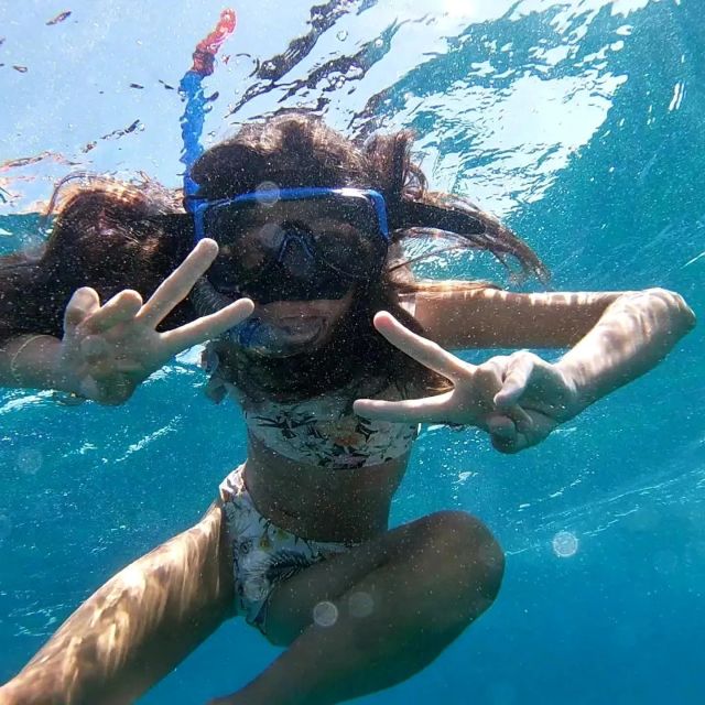 Rovinj: Red Island and Pirate Cave speedboat tour - Key points at a glance