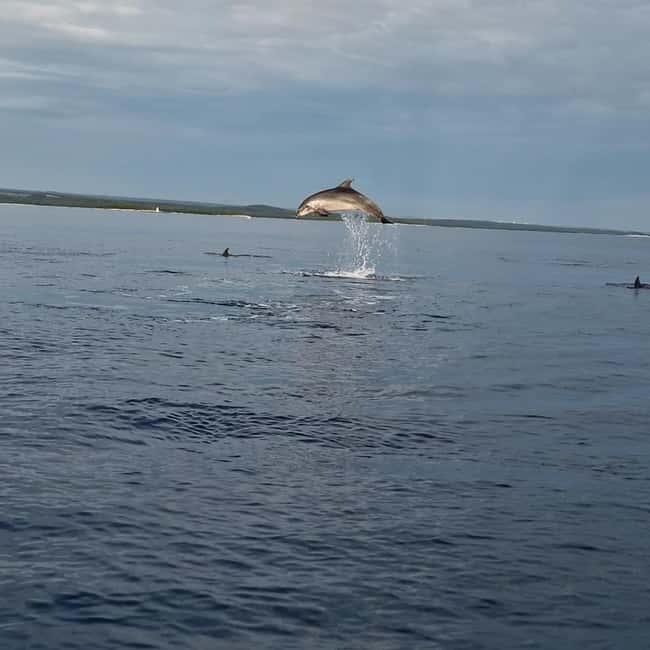 Rovinj: Shared Dolphin and Sunset Tour with Drinks - Sunset from the water