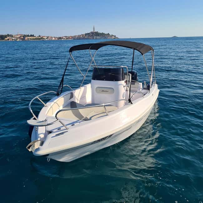 Rovinj: Shared Dolphin and Sunset Tour with Drinks - The three meeting points and return options