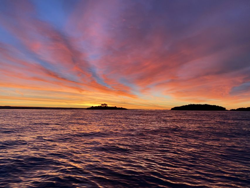 Rovinj: Sunrise Dolphins & Fishermen at Work Speedboat Tour - Should you book the Rovinj sunrise dolphin tour?