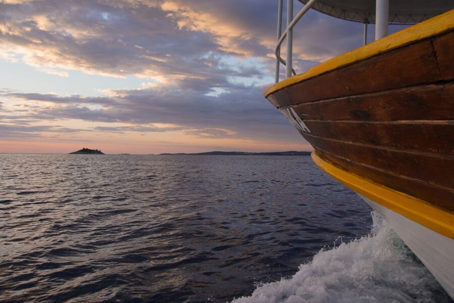 Rovinj: Sunset Boat Trip with Dolphin Watching - Key points to know before you book