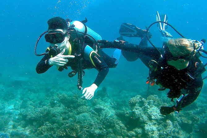 Scuba Diving for Beginners in Pula - Key points to know before booking