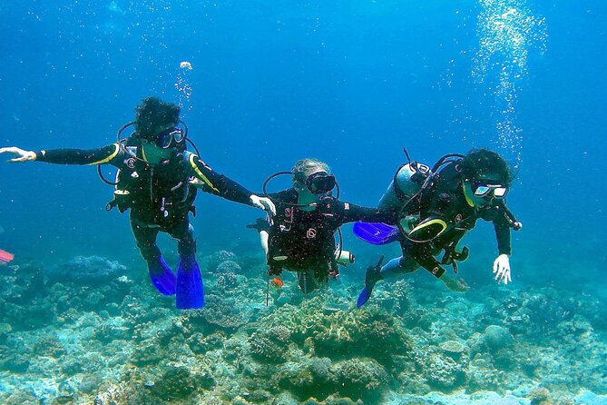 Scuba Diving for Beginners in Pula - Practical timing and cancellation advice