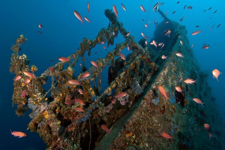 Scuba Diving in Dubrovnik: 1 Dive for Certified Divers - What your 150 minutes at Blue Planet looks like