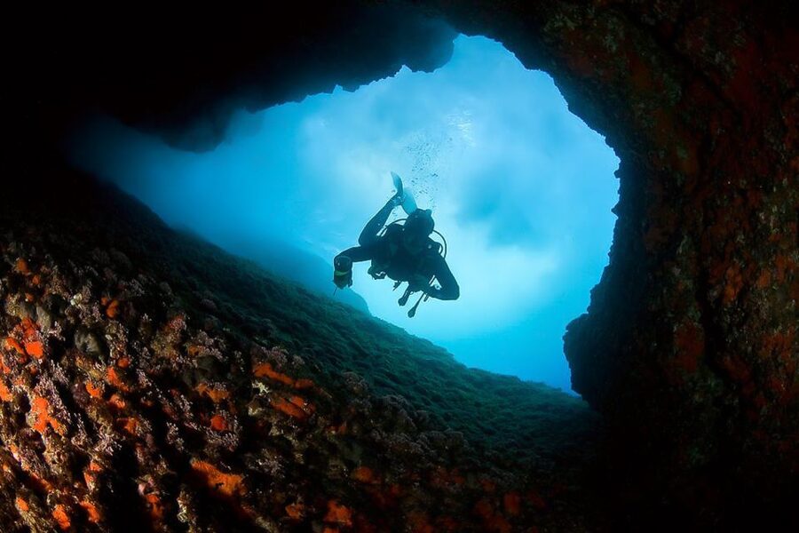 Scuba Diving in Dubrovnik: 1 Dive for Certified Divers - Reefs, caves, and caverns for a different kind of outing