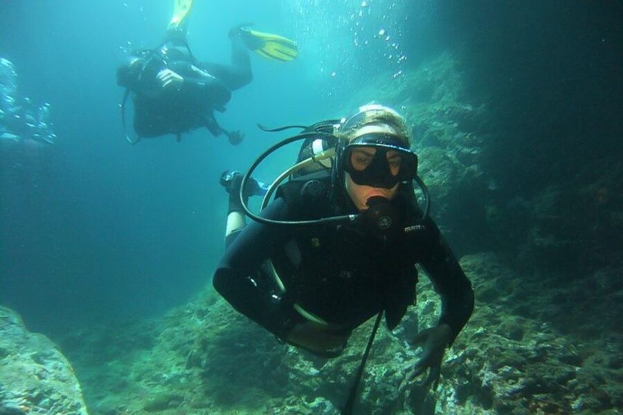 Scuba Diving in Dubrovnik: 1 Dive for Certified Divers - Language, group size, and comfort
