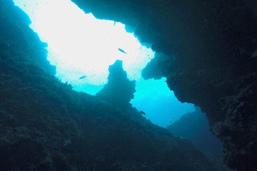 Scuba Diving in Dubrovnik: 1 Dive for Certified Divers - Bezdan and the remains of the Aurora