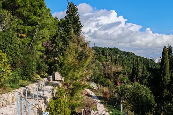 Secret Marjan Park Hiking Tour in Split - Why Marjan is the right escape from central Split