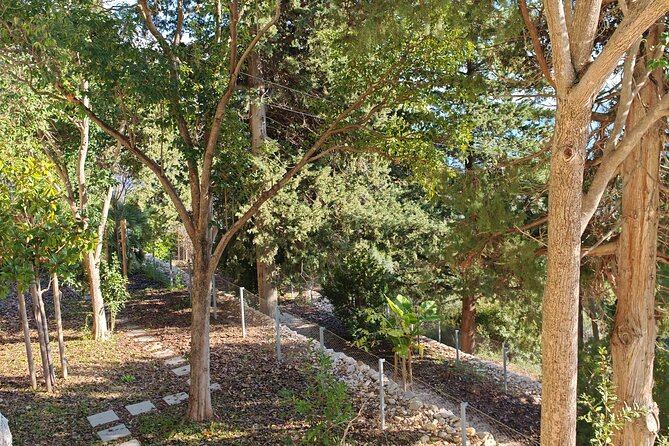 Secret Marjan Park Hiking Tour in Split - Beach views without a beach-day commitment