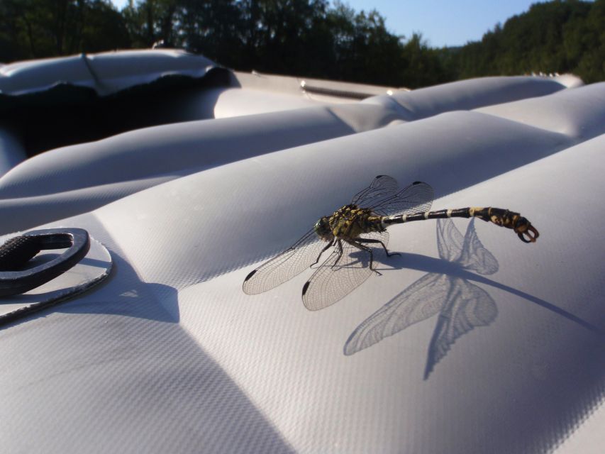 Severin na Kupi: Canoeing and Kayaking on the Kupa River - How the $47 price holds up