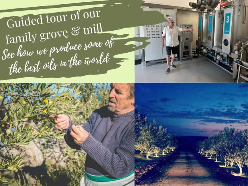 Sibenik: Stunning views, History & Tasting - Croatia in day - Entering the Lepur family olive grove