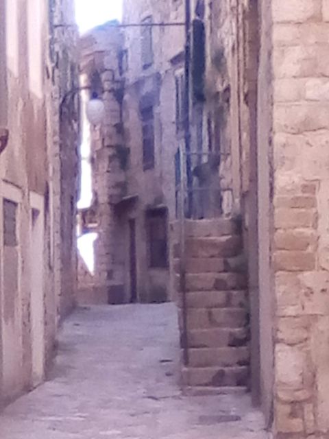 Šibenik walking tour in one hour! - Juraj’s Heads and the Cathedral Signature