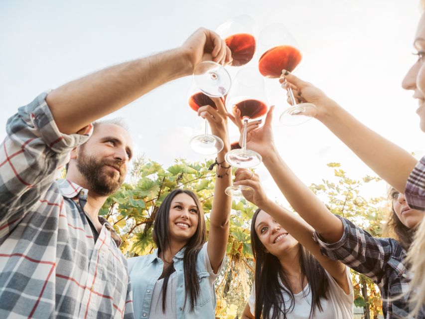 Šišan: Wine Tasting: Organic Wines of Southern Istria - Why the red soil matters