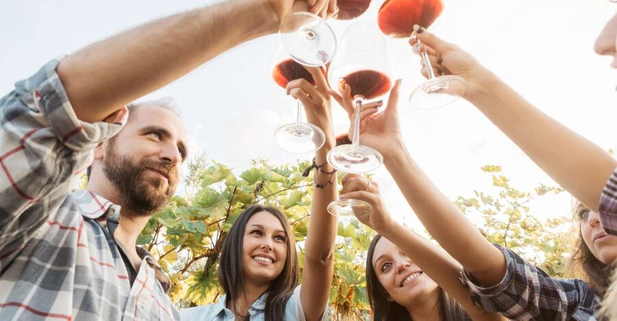 Šišan: Wine Tasting: Organic Wines of Southern Istria - Six wines, not just a photo stop