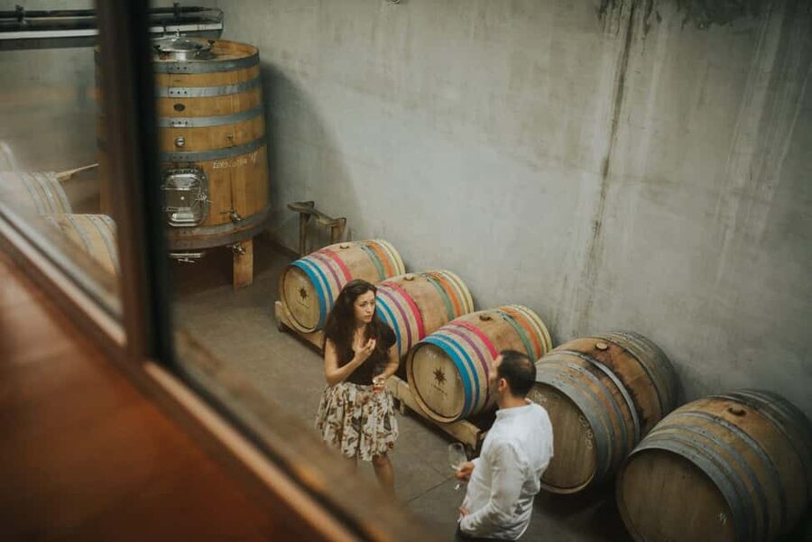 Šišan: Wine Tasting: Organic Wines of Southern Istria - What the $64 price really buys