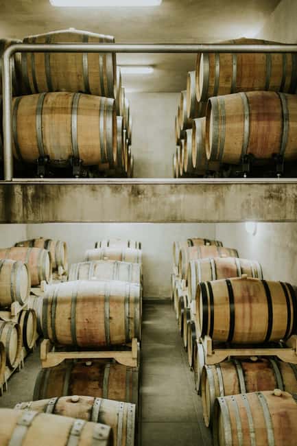 Šišan: Wine Tasting: Organic Wines of Southern Istria - The guide makes or breaks the visit