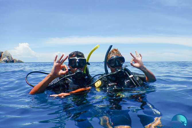 Small-Group Introductory Scuba Diving in Pula - Quick points to know
